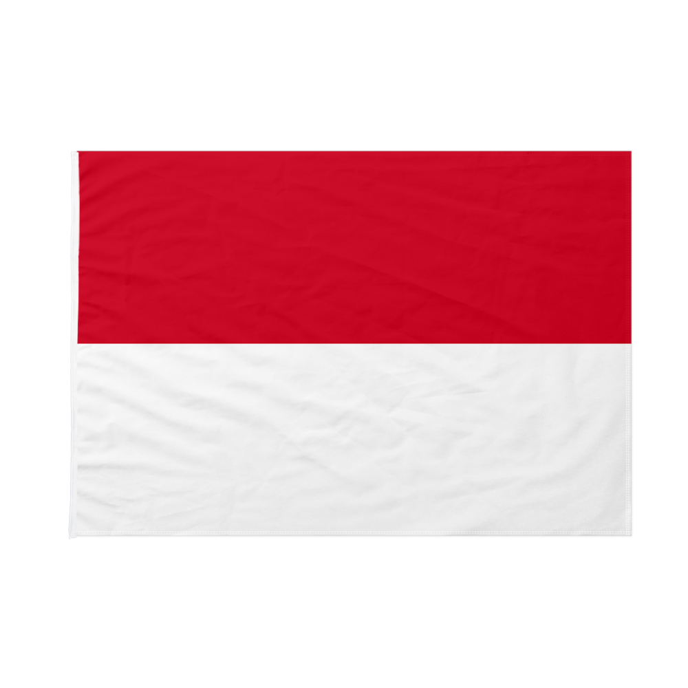 Bandierine A Triangolo Rosse E Bianche – Festone 5 Metri In Poliestere – 12 Bandiere Da 30x20 Cm – FlagSuperstore - 4