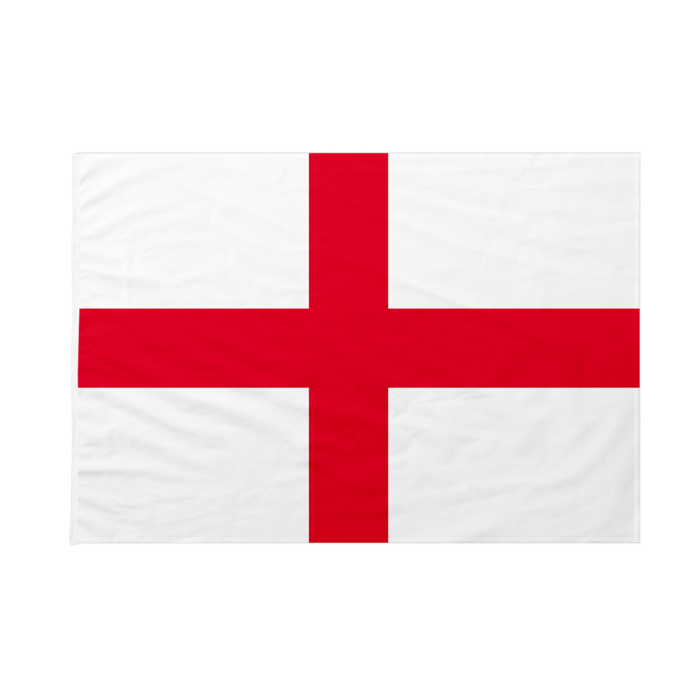 Bandiera da pennone Galles 70x105cm 