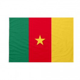 Bandiera Camerun