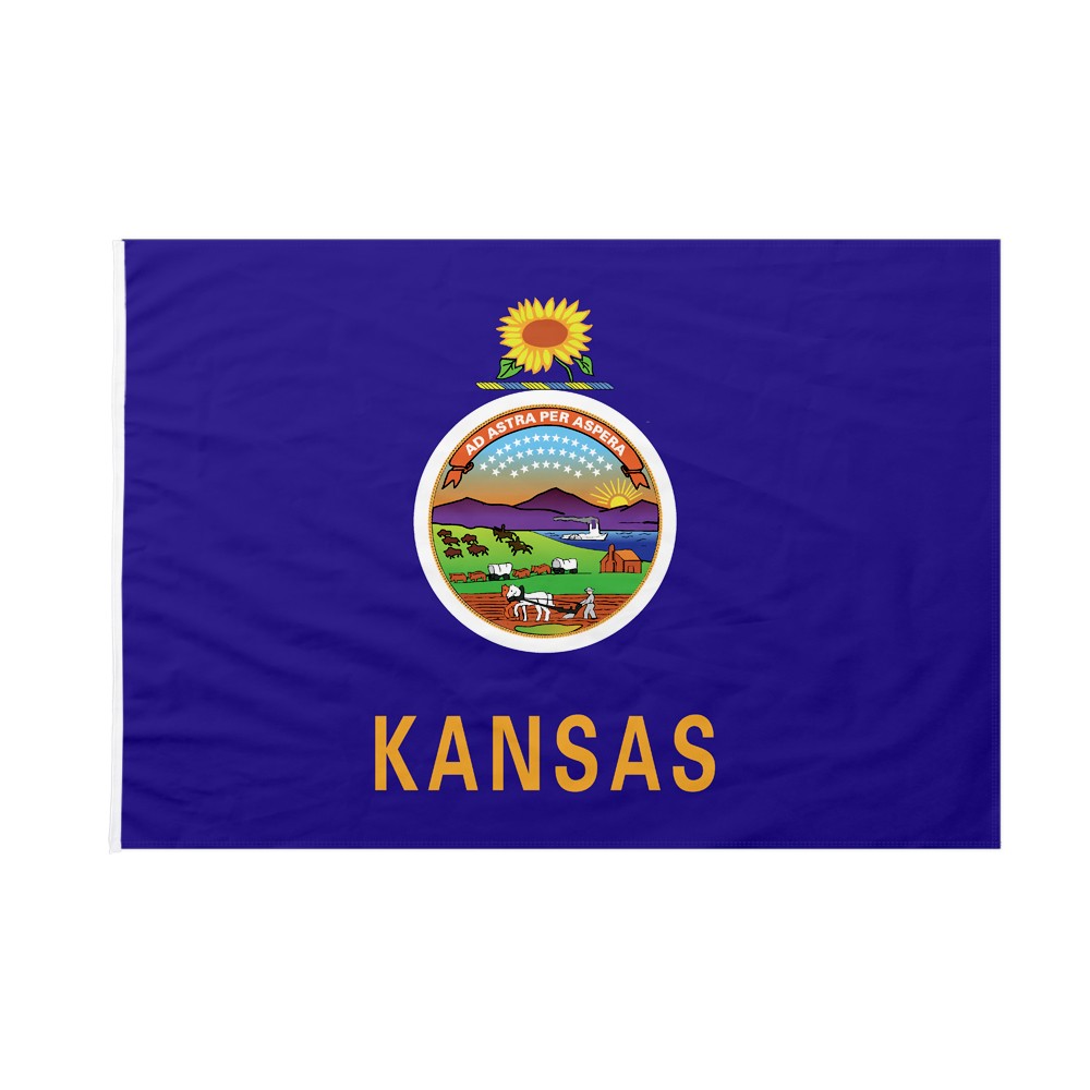 Bandiera Appesa Della Città Del Vaticano - Immagini Vettoriali Stock E - Foto 7