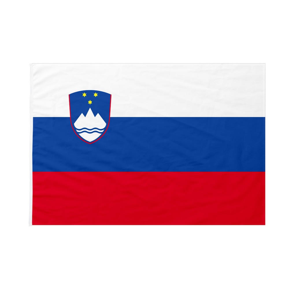 Bandiera Della Slovenia Icona Vettoriale Su Sfondo In Pelle Nera Proporzioni 2 3 Gm954958362 260739948