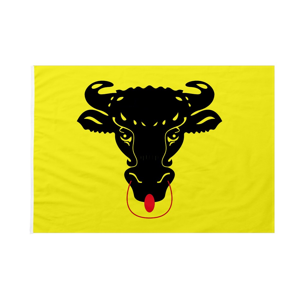 BANDIERA VERDE LISCIA 2' X 3' Per Esterno - Foto 6