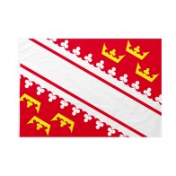 Bandiera Alsazia 100x150 cm da pennone