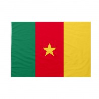 Bandiera Camerun 20x30 cm da bastone