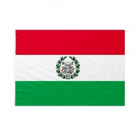 Bandiera Cispadania 50x75 cm da pennone