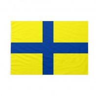 Bandiera Comune di Parma 70x105 cm da pennone