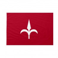 Bandiera Comune di Trieste 70x105 cm da pennone