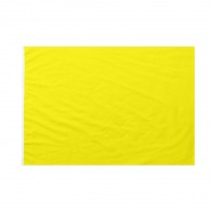 Bandiera Gialla 20x30 cm da bastone