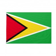 Bandiera Guyana 100x150 cm da bastone