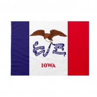 Bandiera Iowa 150x225 cm da pennone