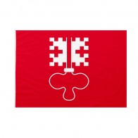 Bandiera Nidvaldo 150x225 cm da pennone