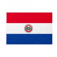 Bandiera Paraguay 50x75 cm da pennone