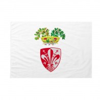 Bandiera Provincia di Firenze 100x150 cm da bastone