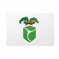 Bandiera Associazione Nazionale Partigiani Italiani -  ANPI 150x225 cm da pennone