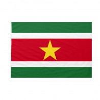 Bandiera Suriname 70x105 cm da bastone