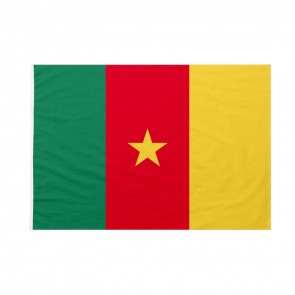 Bandiera Camerun