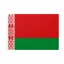 Bandiera Bielorussia 20x30 cm da bastone