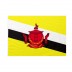 Bandiera Brunei 20x30 cm da bastone