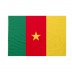 Bandiera Camerun 20x30 cm da bastone