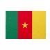 Bandiera Camerun 200x300 cm da pennone