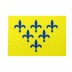 Bandiera Ducato di Parma e piacenza 20x30 cm da bastone