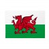 Bandiera Galles 20x30 cm da bastone