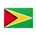 Bandiera Guyana 20x30 cm da bastone