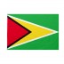 Bandiera Guyana 200x300 cm da pennone
