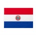 Bandiera Paraguay 20x30 cm da bastone