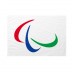 Bandiera Paralimpiadi 400x600 cm da pennone