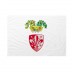 Bandiera Provincia di Firenze 50x75 cm da bastone