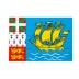 Bandiera Saint-Pierre e Miquelon 20x30 cm da bastone