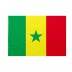 Bandiera Senegal 20x30 cm da bastone