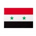 Bandiera Siria 20x30 cm da bastone