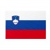 Bandiera Slovenia 20x30 cm da bastone