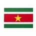 Bandiera Suriname 20x30 cm da bastone
