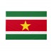 Bandiera Suriname 70x105 cm da pennone