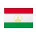 Bandiera Tagikistan 20x30 cm da bastone
