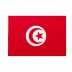 Bandiera Tunisia 20x30 cm da bastone
