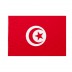 Bandiera Tunisia 20x30 cm da bastone